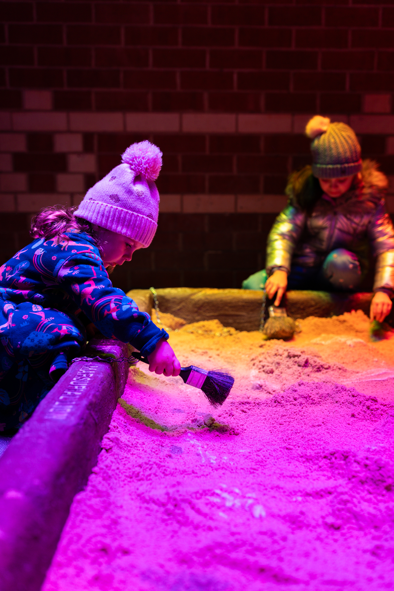 Dig for fossils and learn about who lived on earth millions of years ago
